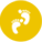[field:typename/]
